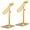 Style1, Golden, variant on Shoe Display Stand Silver, Risers Stand Countertop Adjustable Shoe Rack Retail Supplies Stainless Steel Shoe Display, 2 Sets of Shoe Rack