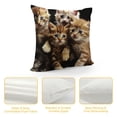 thumbnail image 4 of Throw Pillow Covers Cute Kittens Black and Orange , Square Decorative,Cushion Pillows Cover for Couch and Bed for Men/Women, 4 of 5