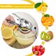 thumbnail image 5 of Exprimidor de limón Manual de acero inoxidable, exprimidor de frutas, exprimidor de cítricos, exprimidor de jugo de frutas, herramienta de prensa de mango rápido,, 5 of 5