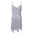 thumbnail image 4 of Alvivi Women's Sparkly Sequins Tassels Fringe Flapper Dress Latin Tango Belly 1920s Dance Costume Silver-gray One_Size, 4 of 7