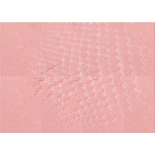 Ahgly Company Machine Washable Indoor Rectangle Transitional Pastel Red Pink Area Rugs, 2' x 3'