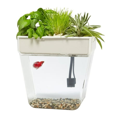 Back to the Roots 3 Gal. Self-Cleaning Aquaponic Water Garden Fish Tank