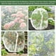 thumbnail image 5 of Malla Protectora para Plantas con Cremallera | Red de Polietileno Blanca para Jardín (70 X 100 Cm) | Protección Contra Plagas y Aves | Protector de Plantas con Cordón Ajustable | Barrera Vegetal Dura, 5 of 6