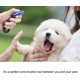 thumbnail image 2 of Clicker de perro, Clicker de entrenamiento con correa de muñeca, clicker de botón grande, entrenamiento de perros, entrenamiento de perros, gato, caballo (2 pack) Feliz Sencillez, 2 of 2