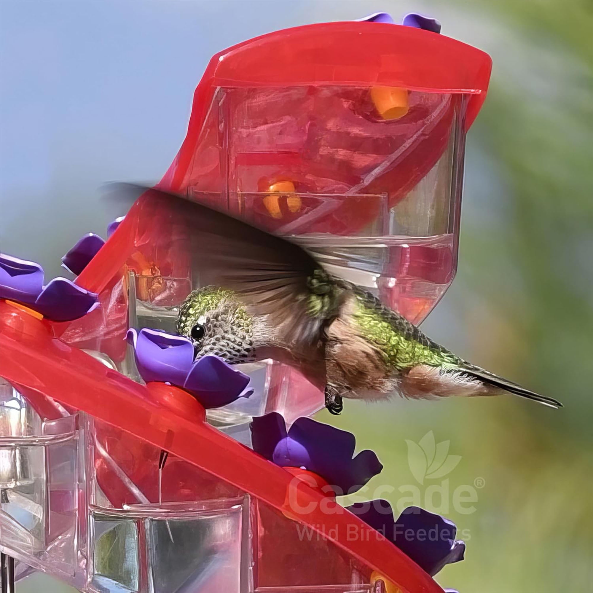 Cascade Wild Bird Feeders Outdoor Hummingbird Feeder, 32 Port Helical Design