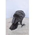 thumbnail image 5 of Raven Looking for Food Elegant Bronze Statue – Intricate Design, Stunning Home Décor Piece for Indoor or Outdoor Display, Perfect for Art Collectors & Bird Lovers, 24"L x 6"W x 12"H, 5 of 11