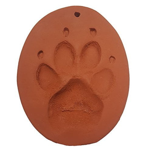 paw print clay kit