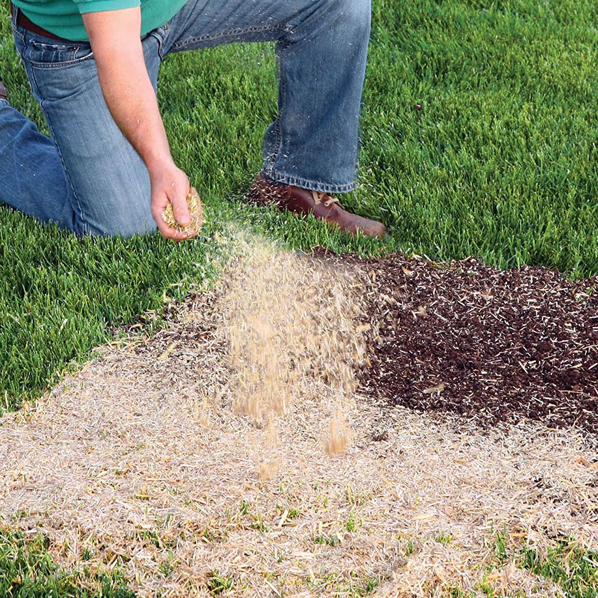 Rhino Seed MLEZSUNSHADE Ez Straw Lawn Repair  28 lbs