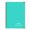 Lake Green, variant on Coil-binding Weekly Planner Daily Journal Notebook Undated Academic Planner