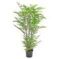 thumbnail image 1 of Australian Fern 50" Artificial Plant, 1 of 1