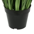 thumbnail image 4 of Vickerman 60" PVC Artificial Potted Green Sheep's Grass and Plastic Grass., 4 of 6