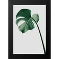thumbnail image 1 of Artographie Studio 17x24 Black Modern Framed Museum Art Print Titled - Monstera Natural 36, 1 of 4
