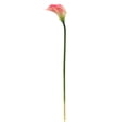 thumbnail image 2 of Nearly Natural 19.5in. Calla Lily Artificial Flower (Set of 12), Pink, 2 of 2