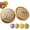 Beige, variant on Dumpling Squishies Toy, Mega Rainbow Bao Bun Stress Relief Ball with Steamer Box, Large Sensory Fidget Toy for Adults & Kids