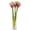 Champagne and Purple, variant on Artificial Calla Lily 10pcs 26 Inch Long Stem Arum Lily for Home Décor Centerpieces Wedding Bridal DIY Bouquet(Light Crimson)