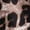 Brown*, variant on RUTAYY Children Girls Dress Casual Leopard Print Short Sleeve Summer Outdoor Activities Comfortable Breathable Fashion Vacation Dresses