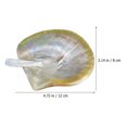 thumbnail image 3 of Juego de plato y cuchara de concha natural para postre, aperitivos y comida., 3 of 7