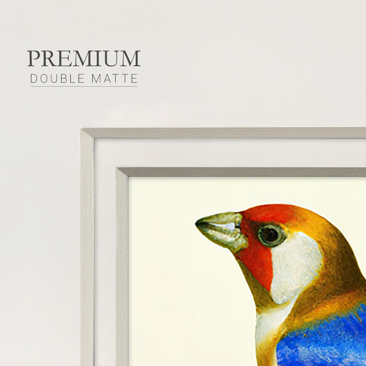 Blue Gold FinchPremium Framed Print