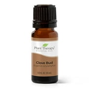 Plant Therapy Clove Bud Essential Oil 100% Pure, Undiluted, Natural Aromatherapy, Therapeutic Grade 10 mL (1/3 oz)