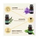 thumbnail image 3 of Kit de 6 aceites esenciales Belug, 3 of 5