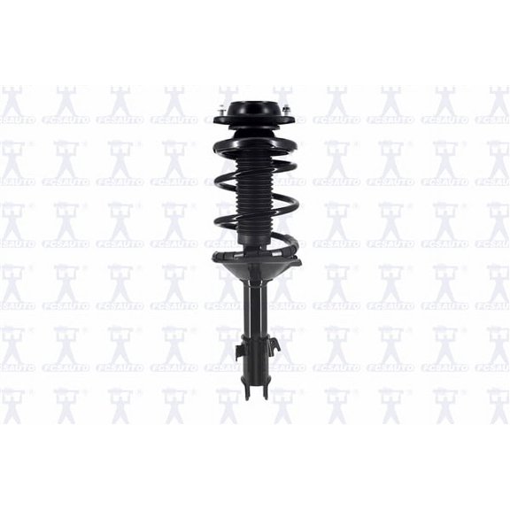 Suspension Strut and Coil Spring Assembly
