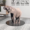thumbnail image 4 of 24"" Inch Round Tempered Glass Table Top Black Glass 1/2"" Inch Thick Beveled Polished Edge, 4 of 8