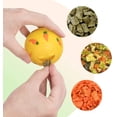 thumbnail image 4 of Hamster Snack Ball, Small Animal Snack Ball, 4 of 5