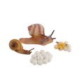 thumbnail image 2 of 4 Piece Insect Figure Animal Life Cycle Plastic Brood To Mature Period, 2 of 7