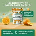 thumbnail image 3 of Good Natured Brand Carpet Deodorizer & Odor Neutralizer Powder, Orange, 31 oz, 3 of 7