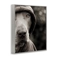 thumbnail image 2 of Stupell Industries Contemporary Dog Wearing Hooded Sweater Close-Up Monochrome Photography Gray Framed Giclee Art, 11 x 14, by Michael Brian, 2 of 7