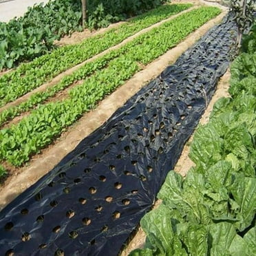 Pack Weed Barrier Landscape Fabric Holes- Garden Weed Blocker Heavy Duty Black Mulch Megngio