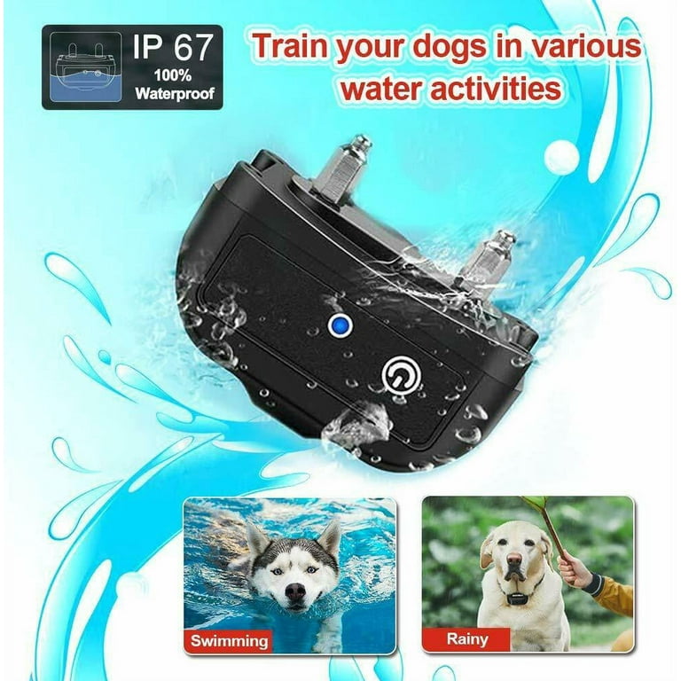 Ticent dog training clearance collar