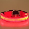 thumbnail image 4 of Zhaomeidaxi Ultra Light USB Rechargeable LED Dog Collar - Adjustable Light up Dog Collar - Waterproof Dog Collar - Flashing Dog Collar Visiblity %26 Safety for Your Dogs, 4 of 8