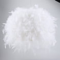 thumbnail image 3 of Lámpara colgante de plumas, lámpara colgante de plumas, lámpara colgante, lámpara colgante, salida de alta intensidad, 3 of 8