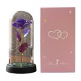 thumbnail image 1 of Rosa preservada en cúpula con luz LED, rosa artificial eterna, regalo para ella, mamá, mujer, San Valentín, Día de la Madre, Navidad, cumpleaños, 1 of 7