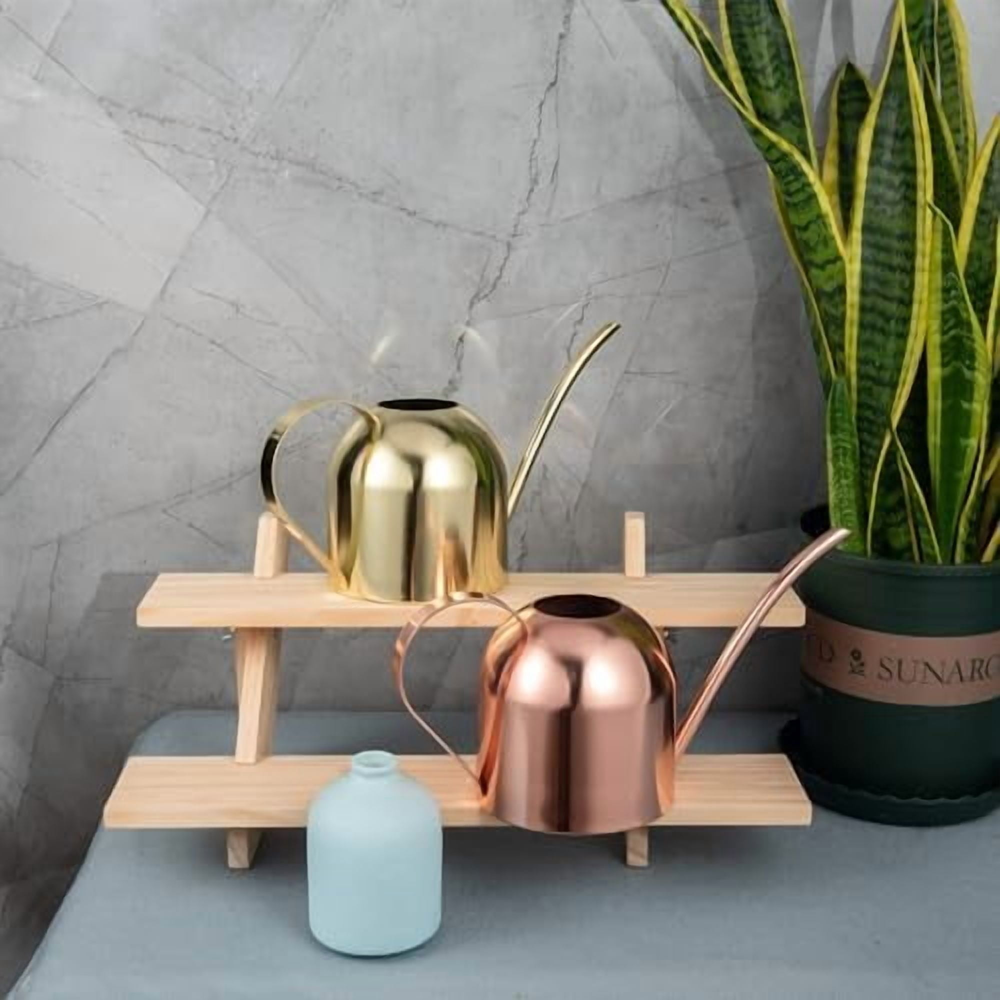 Indoor Watering Can for House Plants 33oz/1L Stainless Steel Watering Can with Long Spout (Rose Gold)
