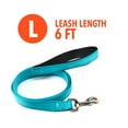thumbnail image 5 of Vibrant Life Reflective Comfort Dog Leash, Teal, 6-ft, 1-in, 5 of 6
