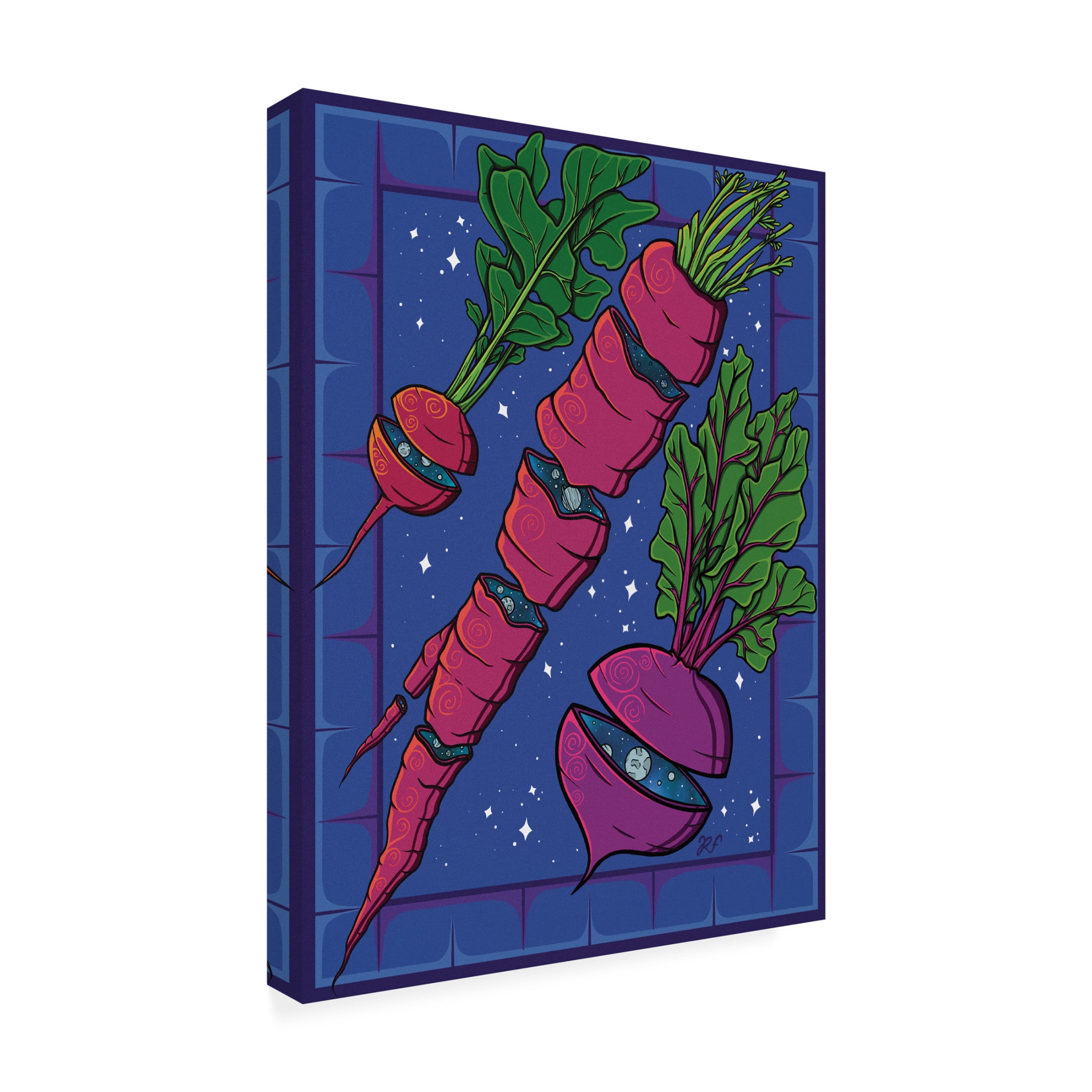 Canvas Wall Art - Rachel Feirman 'Space Roots' Wall Art for Living Room, Bedroom, or Office Décor by Trademark Fine Art - 35 x 47 Inches