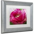 thumbnail image 2 of Trademark Fine Art "Peppermint Tulip" Canvas Art by Kurt Shaffer, White Matte, Silver Frame, 2 of 4