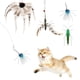 thumbnail image 1 of Juguete Interactivo para Gatos Buggy Bounce con 4 Recargas de Insectos, 1 of 5