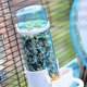 thumbnail image 5 of Pet Bird Plastics Auto Feeder Loro Cockatiel Alimentación Bebedero de agua Taza Tazón, 5 of 5
