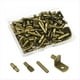 thumbnail image 1 of 100 Clavijas para Estantes,4 Estilos,Clavijas para Estantes,Clavijas para Estantes de Gabinetes de Cocina,Clavijas para Soportes de Estantes, Clavijas para EstanteríAs de Bronce, 1 of 5
