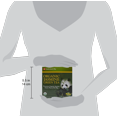 thumbnail image 1 of Uncle Lee's Tea - Organic Jasmine Green Tea - 40 Tea Bags, 1 of 2