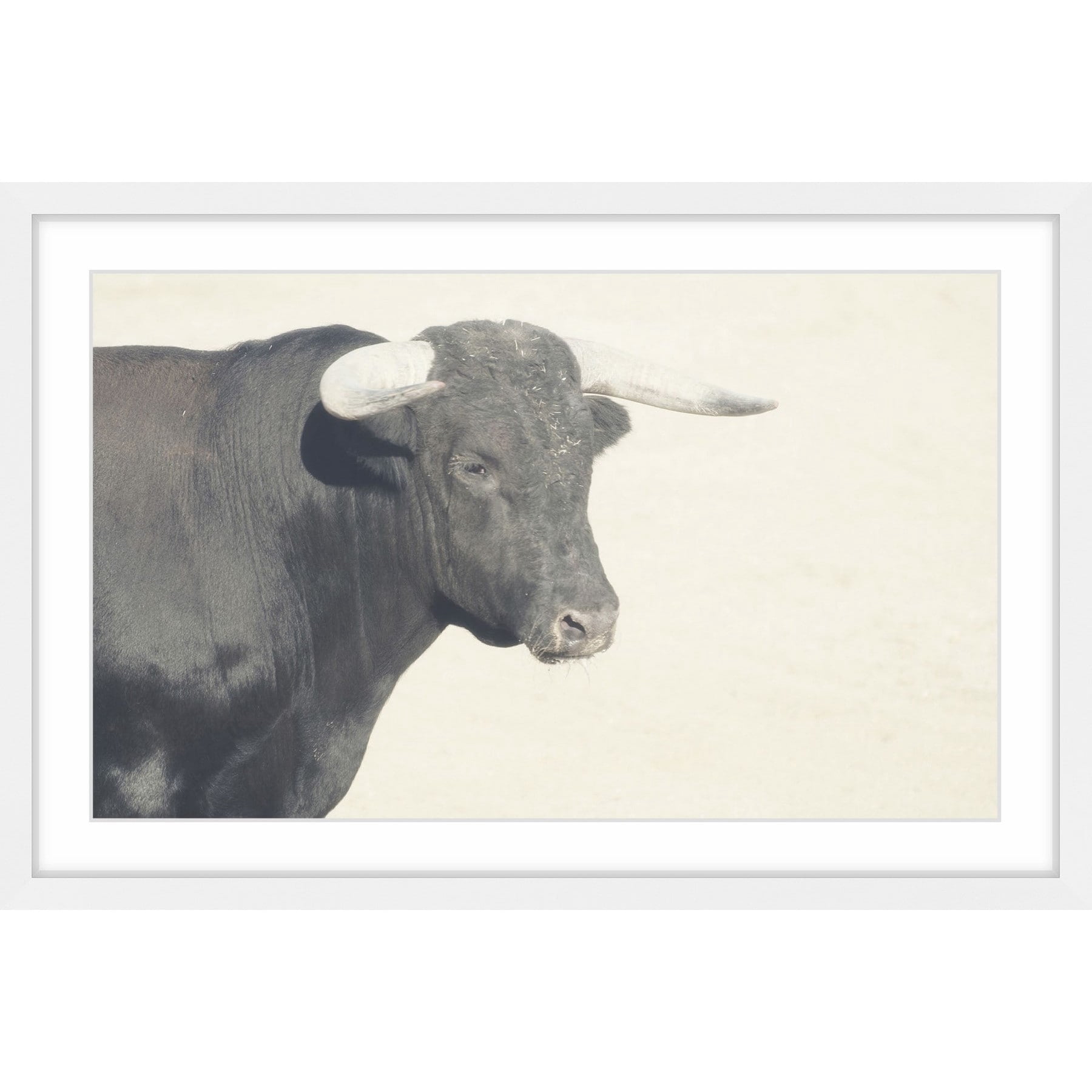 Marmont Hill "White Antlers" Framed Painting Print