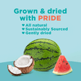 thumbnail image 3 of RIND Snacks Coco-Melon Dried Fruit Superfood - 3oz Bags, 6 Bags Total - Organic Coconut, Watermelon, Cantaloupe, 3 of 8