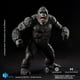 thumbnail image 3 of Figura de acción Hiya Toys Godzilla contra Kong Kong 16 cm PX, 3 of 7