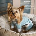 thumbnail image 2 of Dog Pajamas Pjs Stretchable Dog Jumpsuit 4 Legs Strip PJS Hair Shedding Cover Good for Summer, 2 of 8