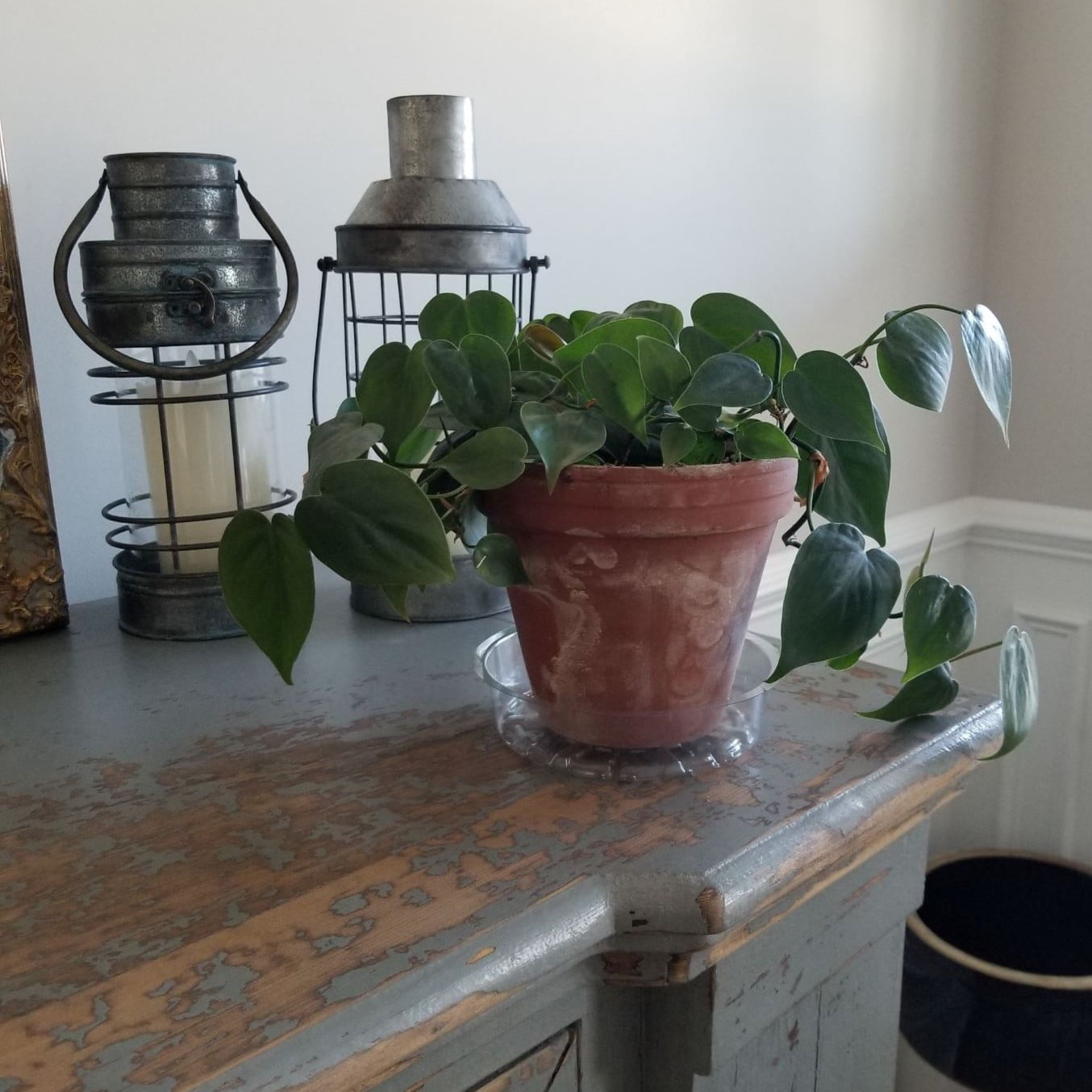 Mainstays Saucer 6 Inch Clear Plastic Round Plant Saucer