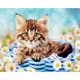 thumbnail image 2 of Cuadros Decorativos DIY Cat in Basket Kit de pintura al óleo digital Pintura acrílica por números Decoración de pared Tmvgtek embutido en tela, 2 of 9