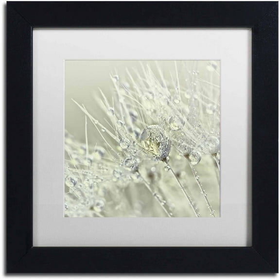 Trademark Fine Art 'Dandelion Dew III' Canvas Art by Cora Niele, White Matte, Black Frame